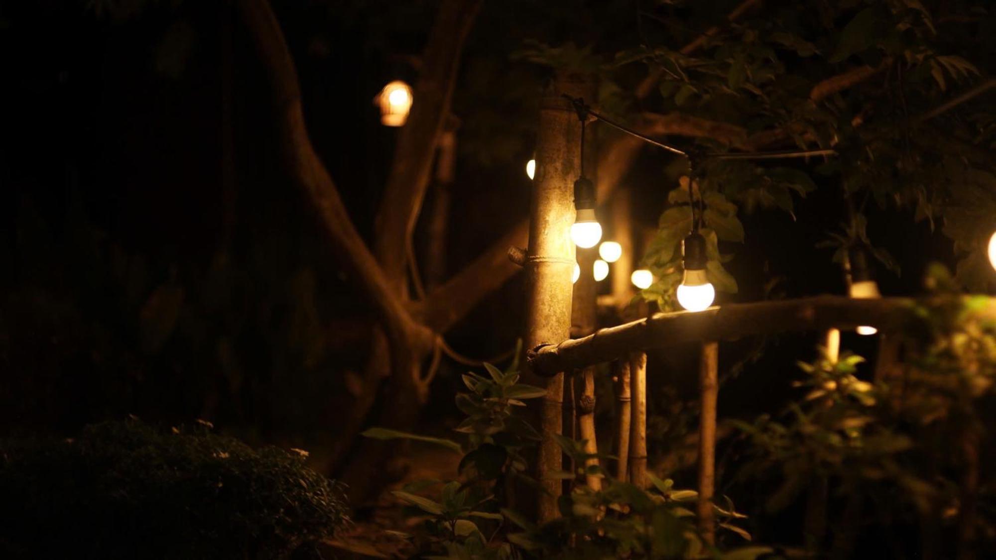 Peaceful Refuge Homestay Ninh Binh Buitenkant foto