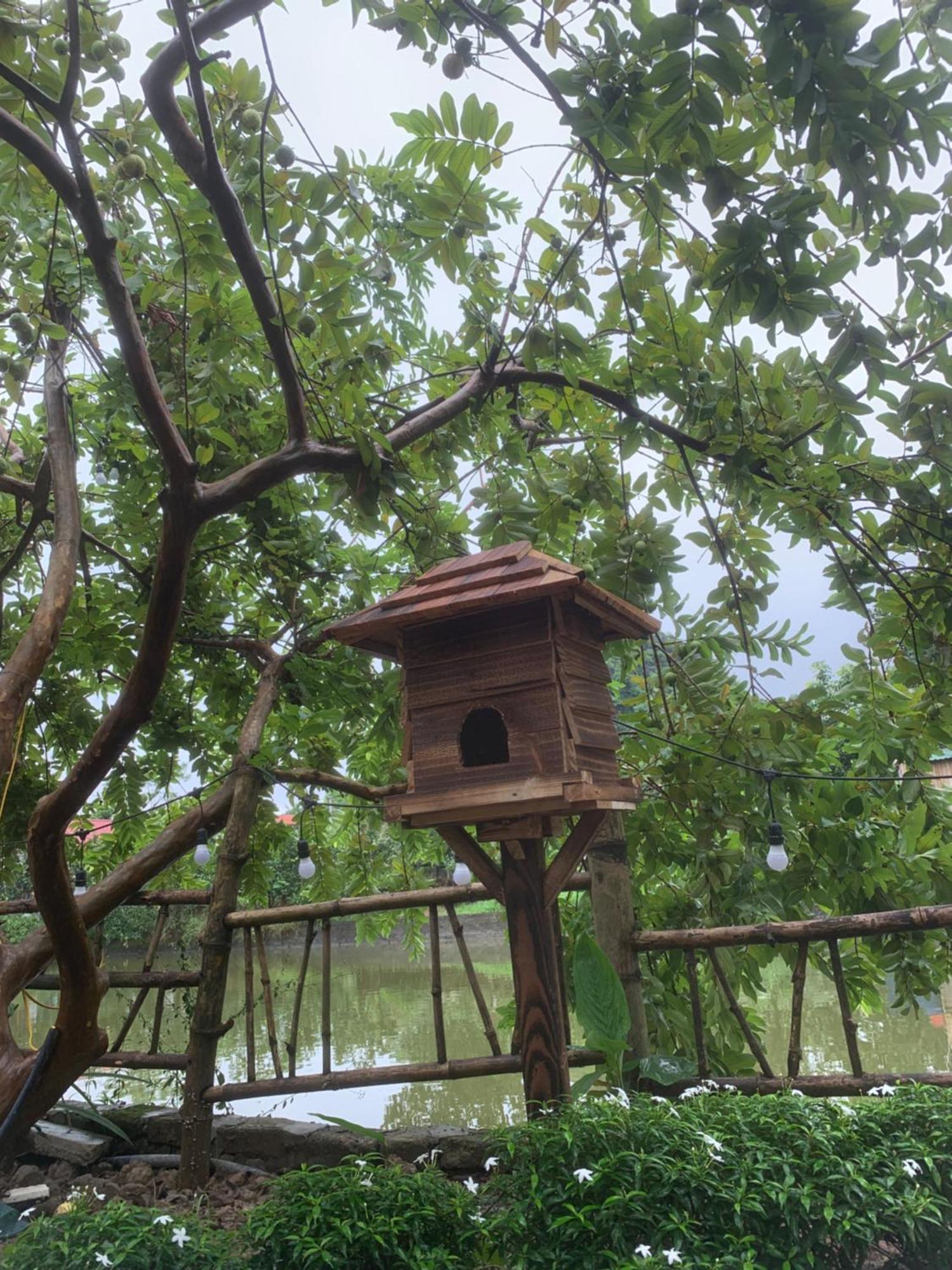 Peaceful Refuge Homestay Ninh Binh Buitenkant foto